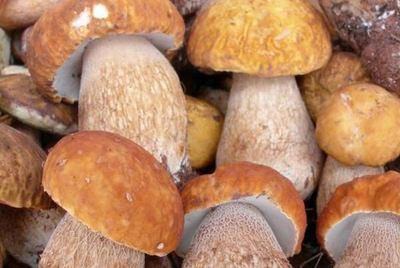 十大知名云南特產,宣威火腿上榜,第一被譽為藥冠南滇