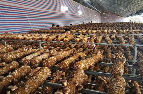 寶坻區黨政代表團赴東西部扶貧協作地區考察對接