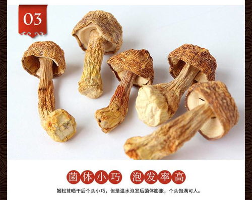 禾煜 姬松茸50g 姬松菇 特產山珍 南北干貨 煲湯食用菌 火鍋食材