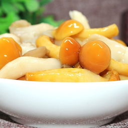 價格,廠家,批發,其他食用菌,瀏陽市永安野山珍食品廠