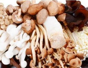 加盟蔬菜工廠利潤大么