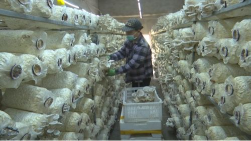 赤峰市元寶山區(qū)人民政府