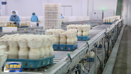 甘肅省張掖市擦亮食用菌&ldquo;金名片&rdquo; 撐起鄉村振興&ldquo;富民傘&rdquo;