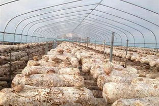 湖北日報點贊 轉型升級日產值100萬元,這家農企叫座海外市場