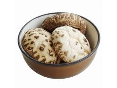 食用菌廠家 有機食品禮品 安徽特產 花菇批發