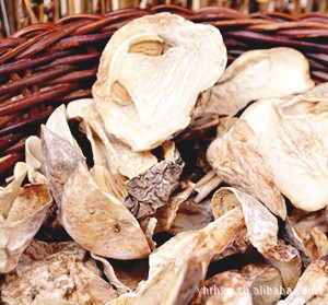 草菇 營養豐富的美味佳品——古田縣永亨隆和食用菌專業合作社