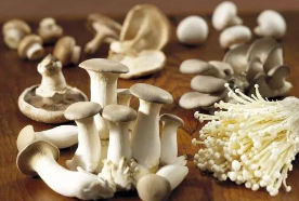 食用菌產業迎來新發展機遇，市場前景廣闊