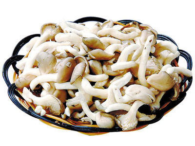 江蘇珍品姬菇 鮮品中的名優食用菌代表