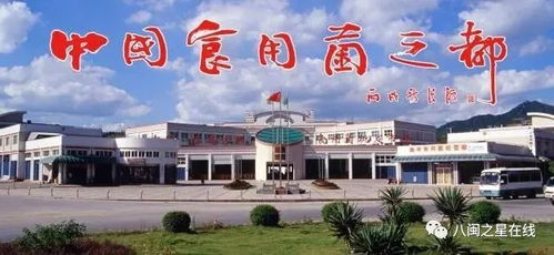 大野山銀耳榮獲省級抽檢合格產品，助力食用菌產業發展邁上新臺階