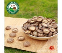 食用菌產品庫 大自然賦予人類的健康寶藏