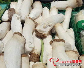 北京春節晚宴上，食用菌產品成必備佳肴