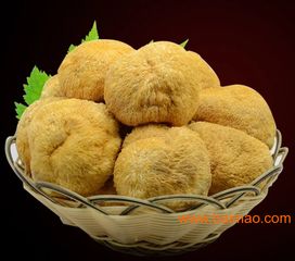 綠色食品猴頭菇 食用價值、食用方法、生產廠家與價格全解析