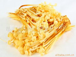 上海食用菌金針菇產品列表