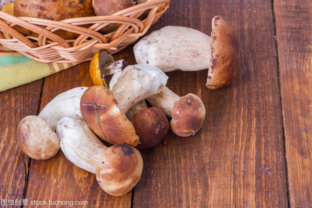 探秘野生食用菌 自然饋贈的珍饈