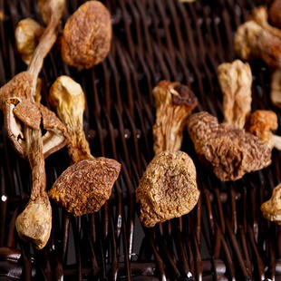 年貨臻選，品味云南—— 稷元優(yōu)質(zhì)云南特產(chǎn)姬松茸（巴西菇）150g裝品鑒